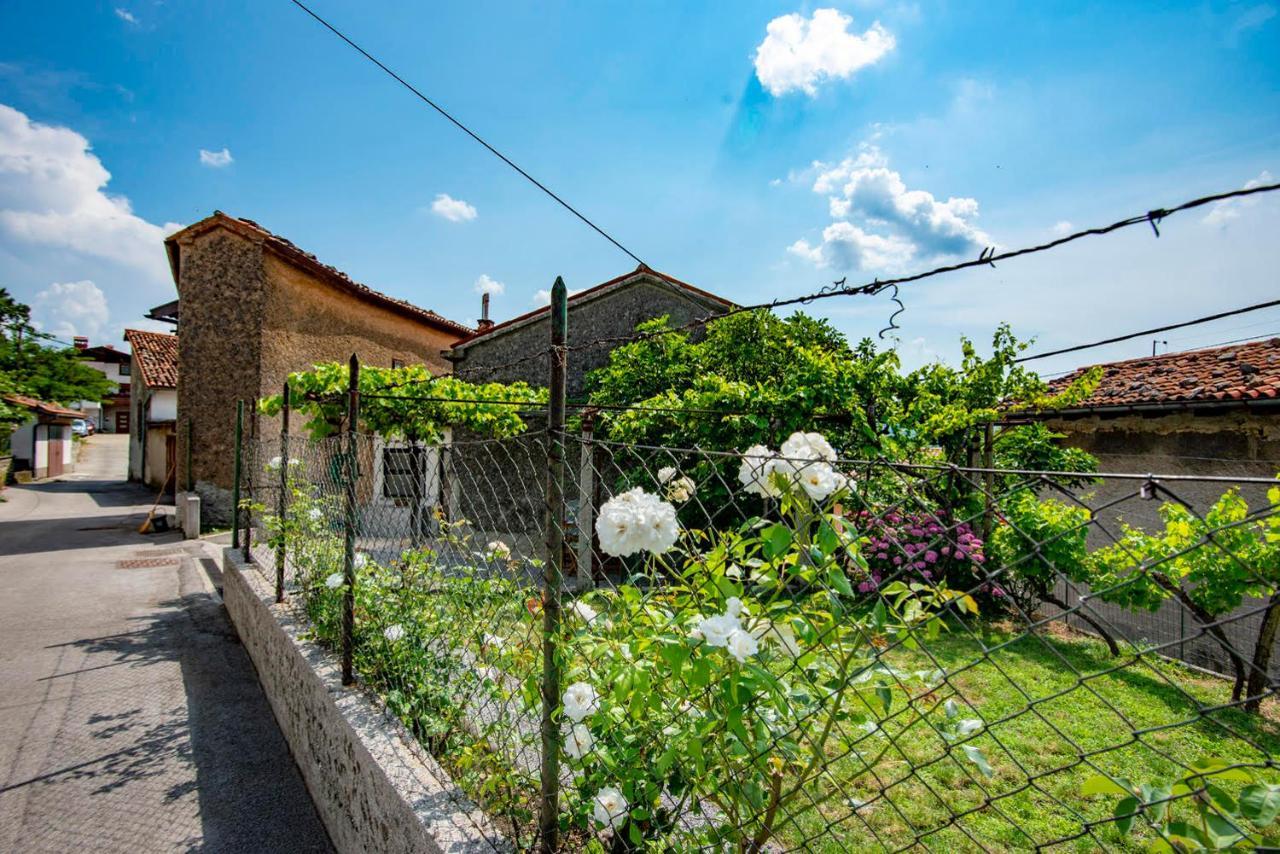 Ajdovščina Apartma Bajc 아파트 외부 사진